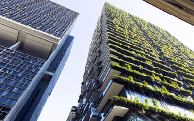 The Rise of Green Structure Company